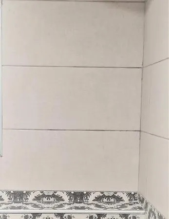 2v1 - 21 Dhjetori Sg * Tirana