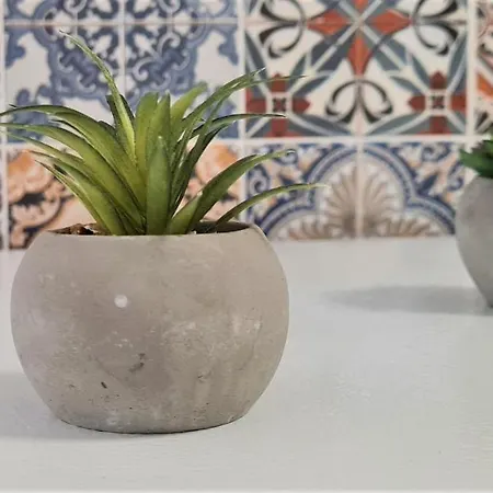 2v1 - 21 Dhjetori Sg Appartamento *