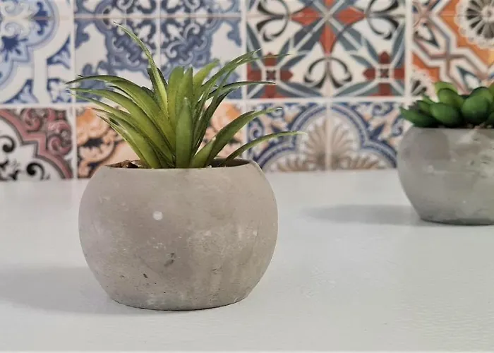 2v1 - 21 Dhjetori Sg Apartamento *